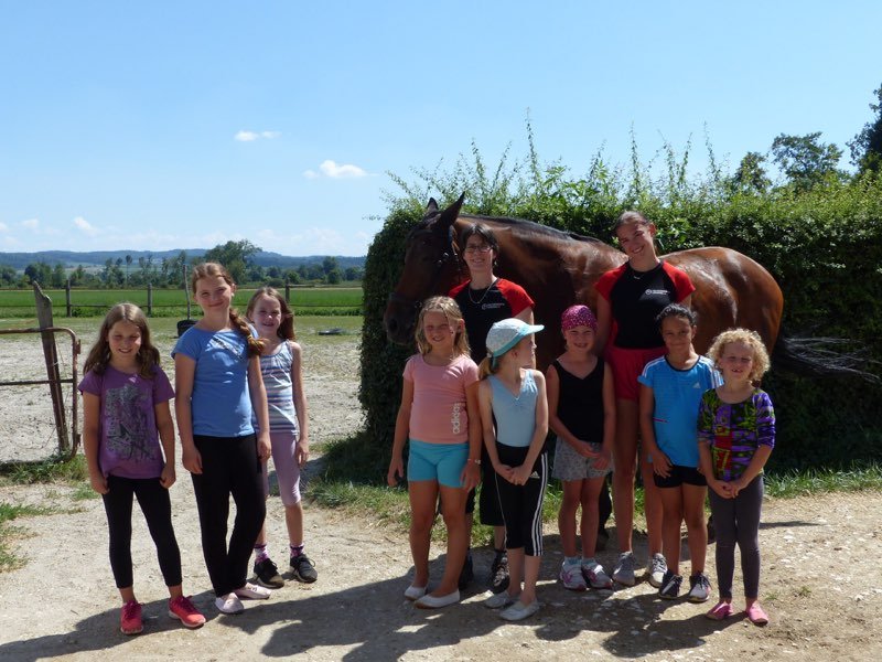 Hoch zu Ross beim Voltige